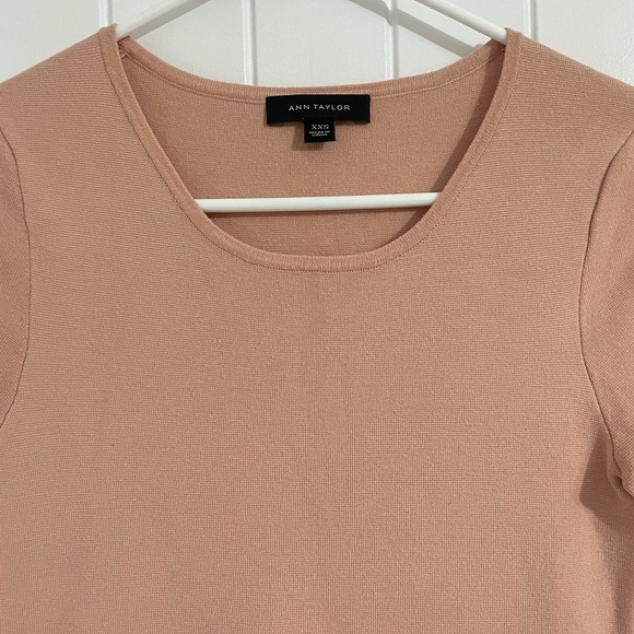 Ann Taylor Dusty Pink Knitted Short Sleeves Embroidered Hem Dress - Picture 2 of 7